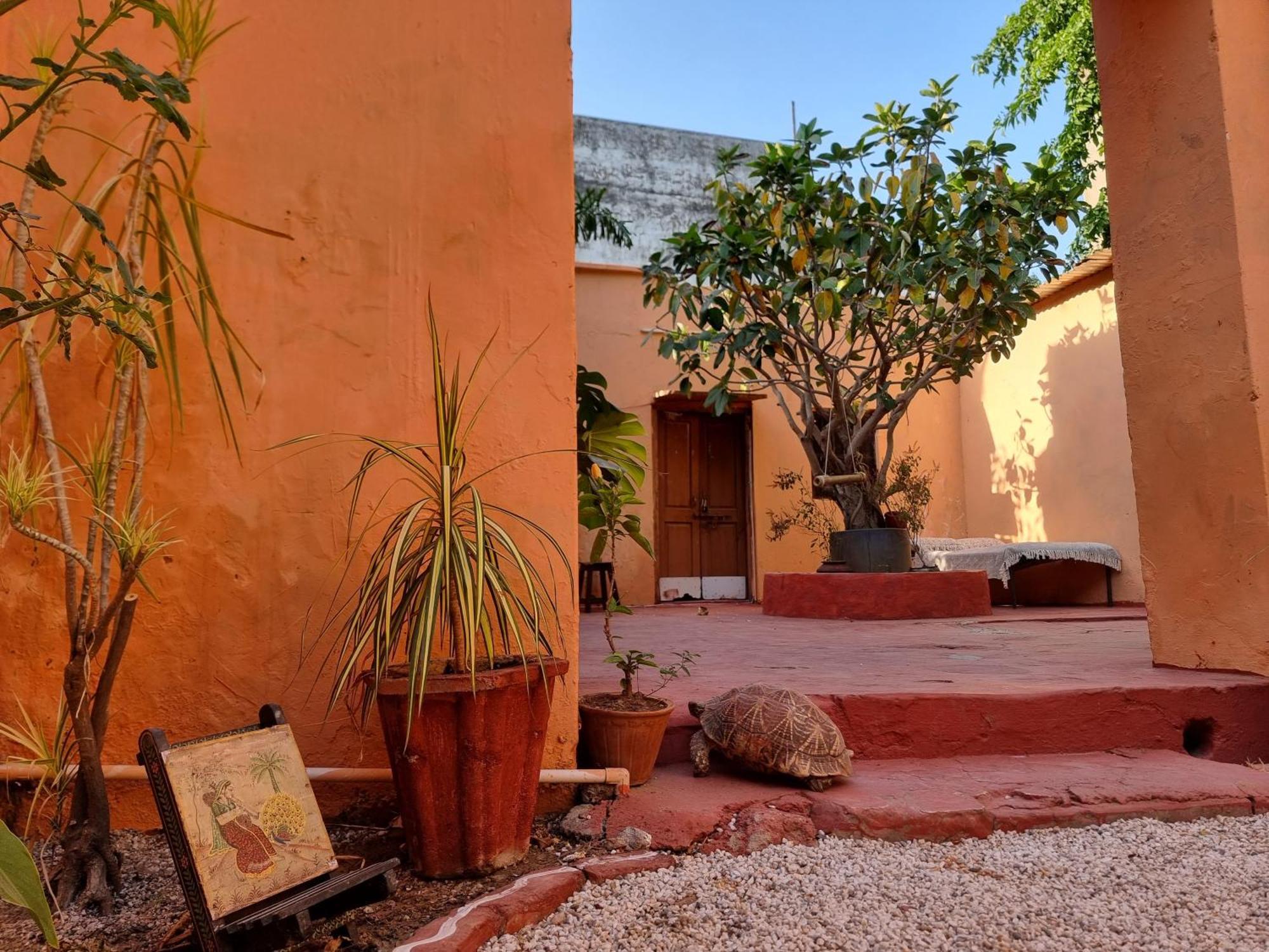 Karavan Kafe Pushkar Exteriör bild
